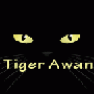 Tiger Awan