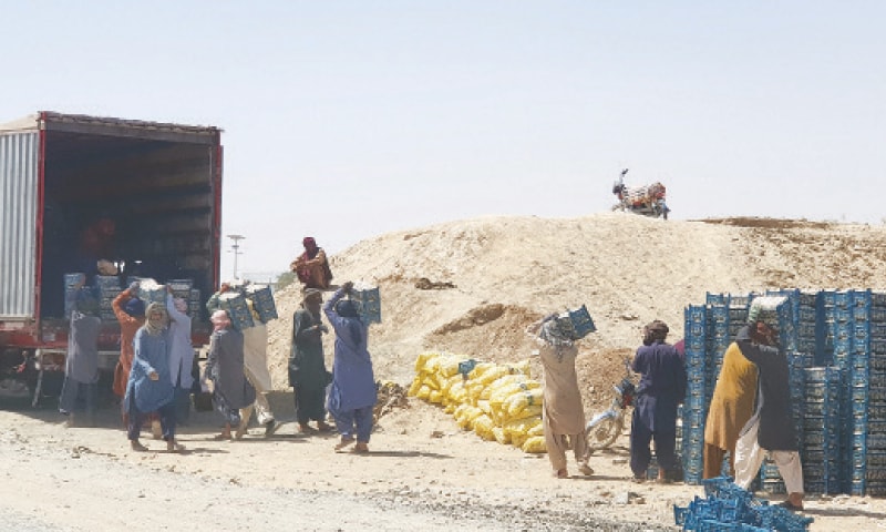 LABOURERS load crates of garlic from Afghanistan on a truck at the Friendship Gate in the border town of Chaman on Wednesday.—Reuters