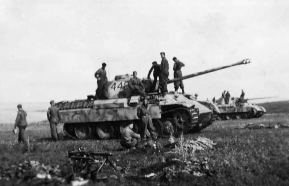 Panzerkampfwagen_V_Panther_number_442.jpg