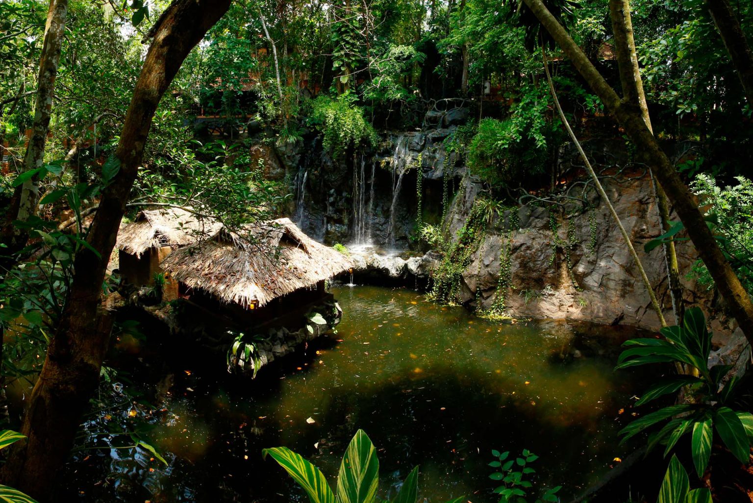 waterfalls-of-rainforest-1536x1026.jpg