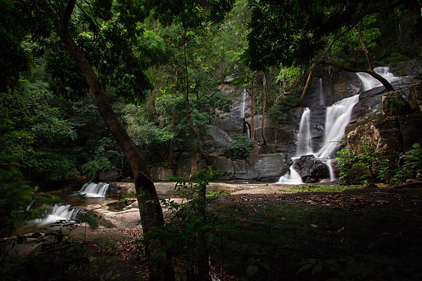 beautiful-waterfall-deep-inside-kerala-forest.jpg