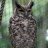 Owl of Abott
