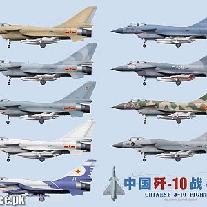 J-10 IN DIFFERENTAIRFORCE COLORS