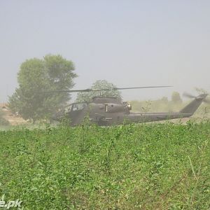 AH-1Cobra During Exs.