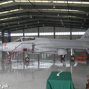 JF-17inPen106