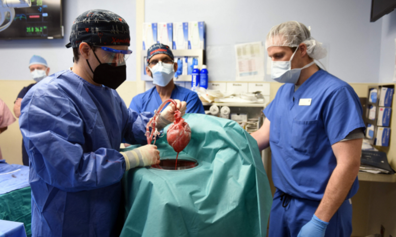This handout photo released by the University of Maryland School of Medicine on January 10 shows surgeons performing a transplant of a heart from a genetically modified pig to patient David Bennett, Sr., in Baltimore, Maryland, on January 7. — AFP
