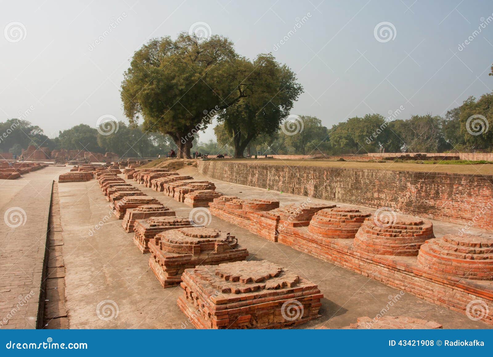 long-alley-brick-monuments-archeological-site-ruins-buddhist-monastery-sarnath-india-sarnath-where-gautama-43421908.jpg