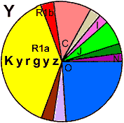 KyrgyzY_DNA.gif