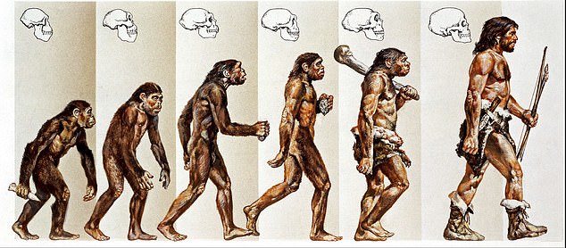 human-evolution.jpg