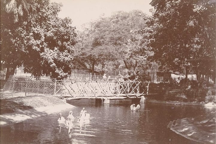 A view of the Duck Pond circa 1900 -Photo provided by the writer