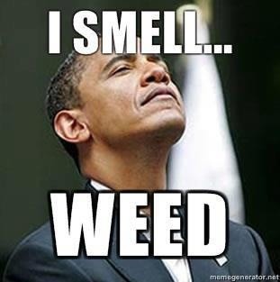 obama-smells-weed-memes.jpg