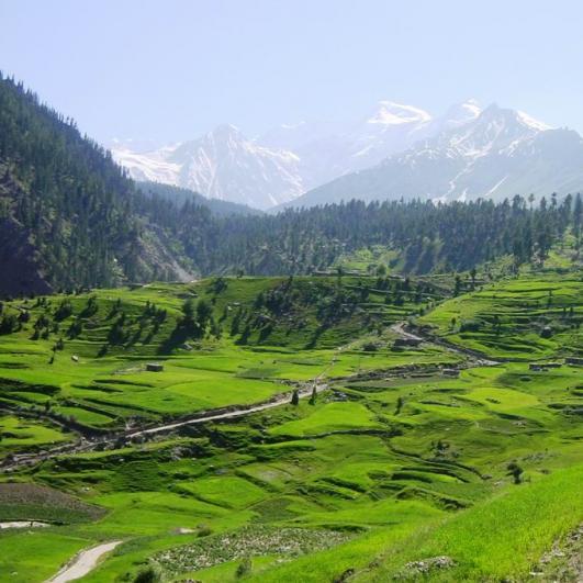 Astore-Valley-What-a-greenish-scene-in-Gilgit-Baltistan.jpg