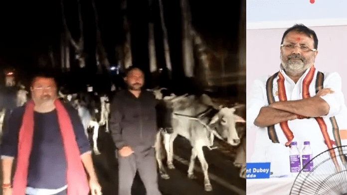 BJP MP Nishikant Dubey stops cow smuggling in Jharkhand