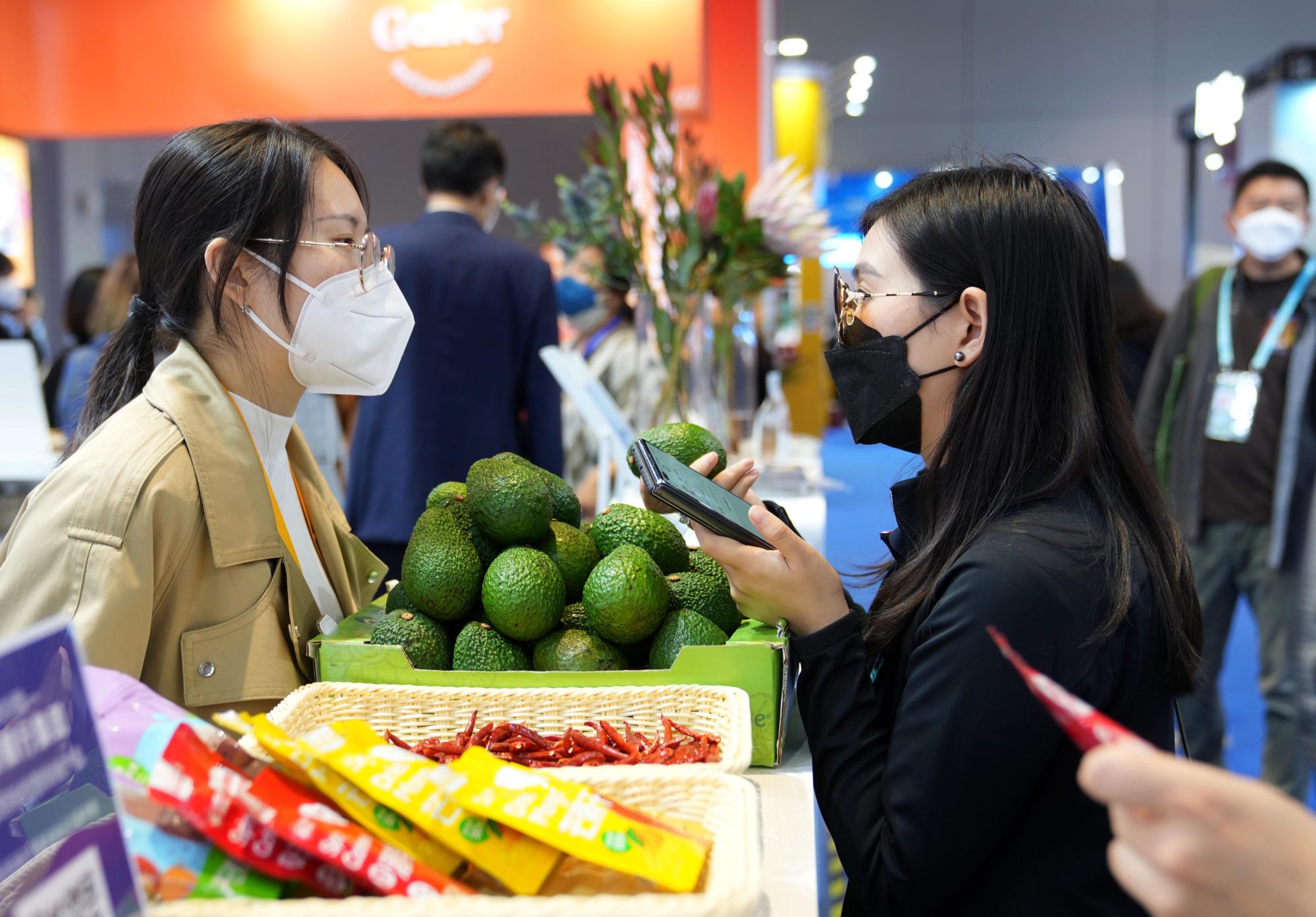 African avocados on display at a an import expo in Shanghai. Photo: Xinhua