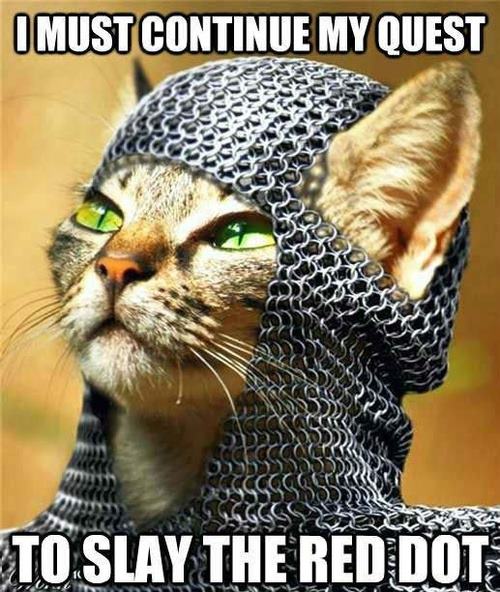 Knight-Cat-Meme.jpg