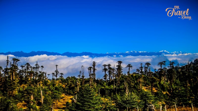 Dense-Forested-overlooking-Himalayas-at-Mandala-Top.jpg