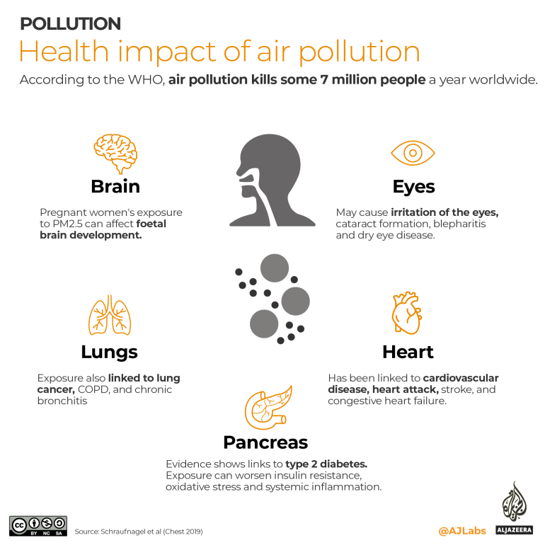 INTERACTIVE-air-pollution-symptoms.png