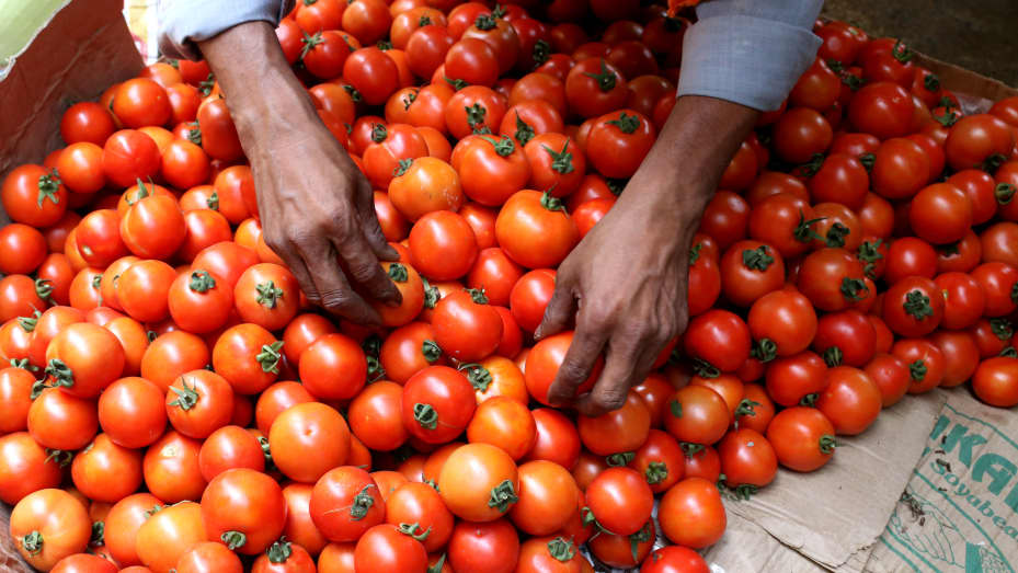 A vendor arranges tomato at a wholesale vegetable market during a government-imposed nationwide lockdown as a preventive measure against the COVID-19 coronavirus, in Kolkata on April 4, 2020. (Photo by Debajyoti Chakraborty/NurPhoto via Getty Images)