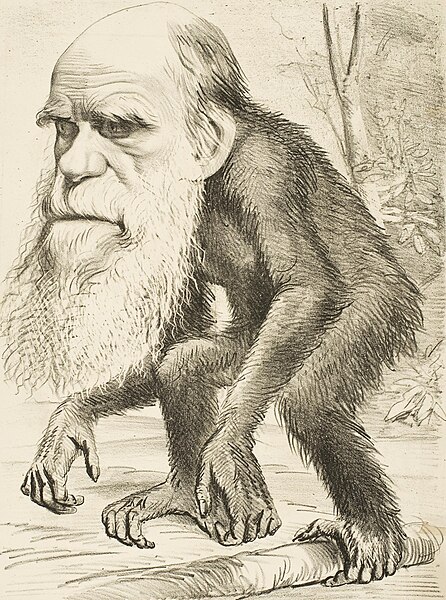 446px-Editorial_cartoon_depicting_Charles_Darwin_as_an_ape_%281871%29.jpg