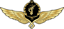 220px-IRGC_Pilot_Wing.svg.png