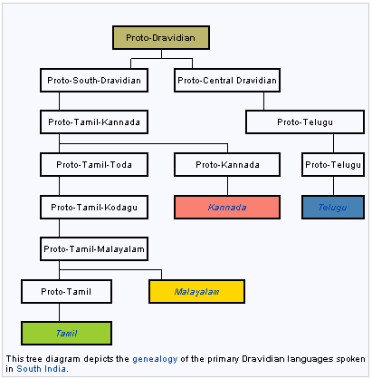 genealogy_of_the_primary_Dravidian_languages.gif