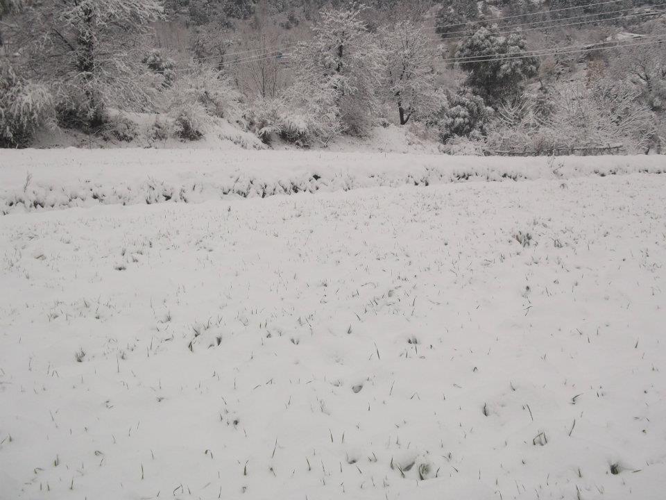 Snowfall+in+Islamabad+Margalla+Hills5.jpg