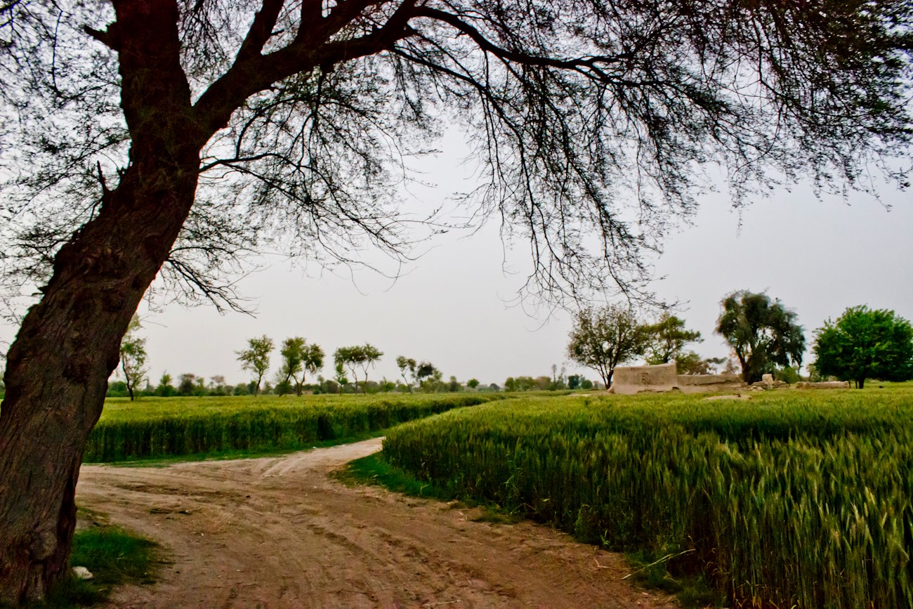 villages-of-punjab-pakistan-6.jpg