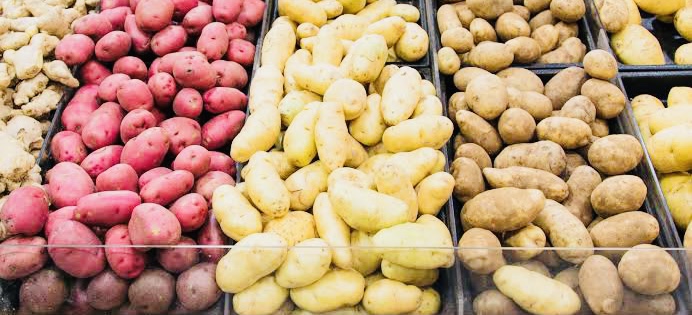 PCJCCI proposes to grow Chinese varieties of potatoes to enhance disease free production