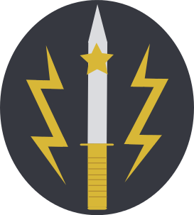 273px-Special_Services_Group_logo.svg.png