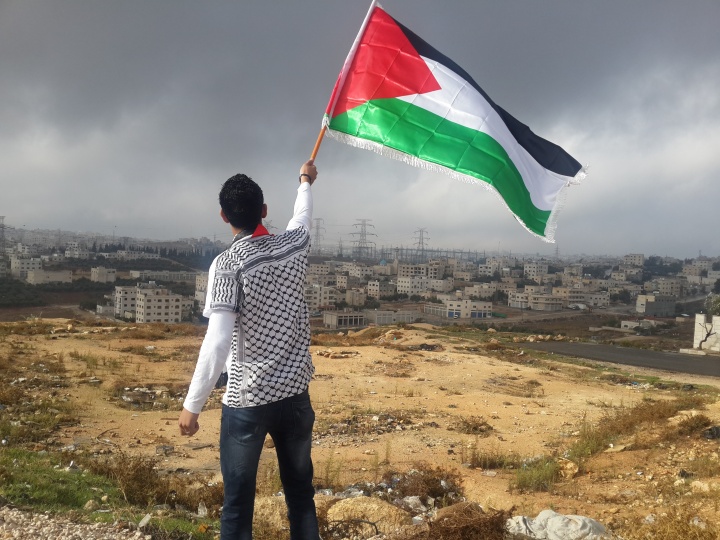 A young man holding a Palestinian flag.