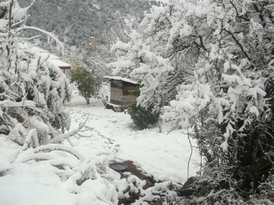 Snowfall+in+Islamabad+Margalla+Hills3.jpg