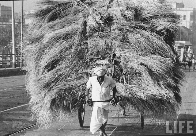 A+Man+carrying+a+Cart+loaded+with+Hay+in+a+Calcutta+%2528Kolkata%2529+Street+-+December+1970.jpg