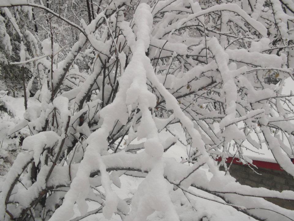 Snowfall+in+Islamabad+Margalla+Hills1.jpg