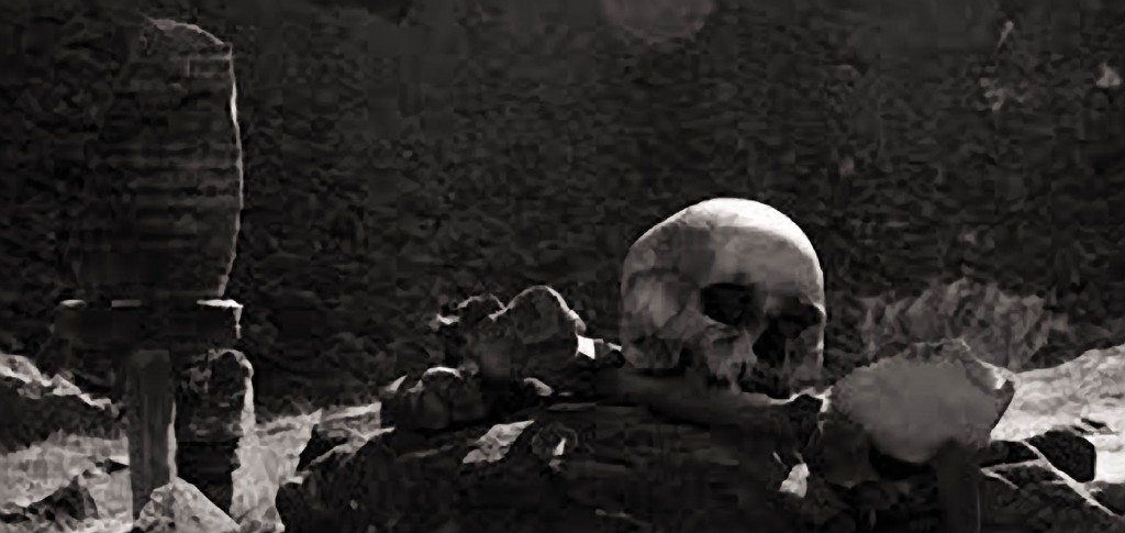 Skull-s-1024x485.jpg
