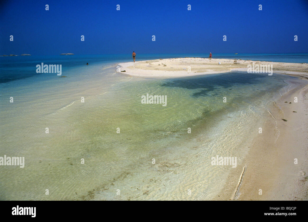 beach-farasan-island-red-sea-saudi-arabia-middle-east-BEJCJP.jpg