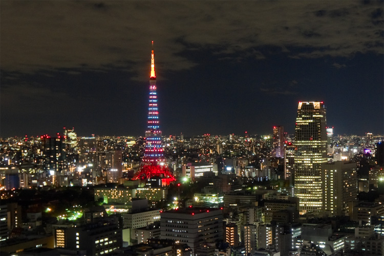 121611-tokyo-tower-xmas-city-aerial-night-4956-web1.jpg