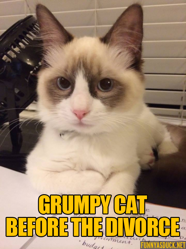 funny-pictures-grumpy-cat-before-the-divorce.jpg
