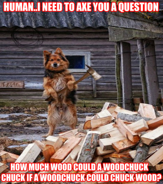 funny-pictures-wood-chuck-dog-axe.jpg
