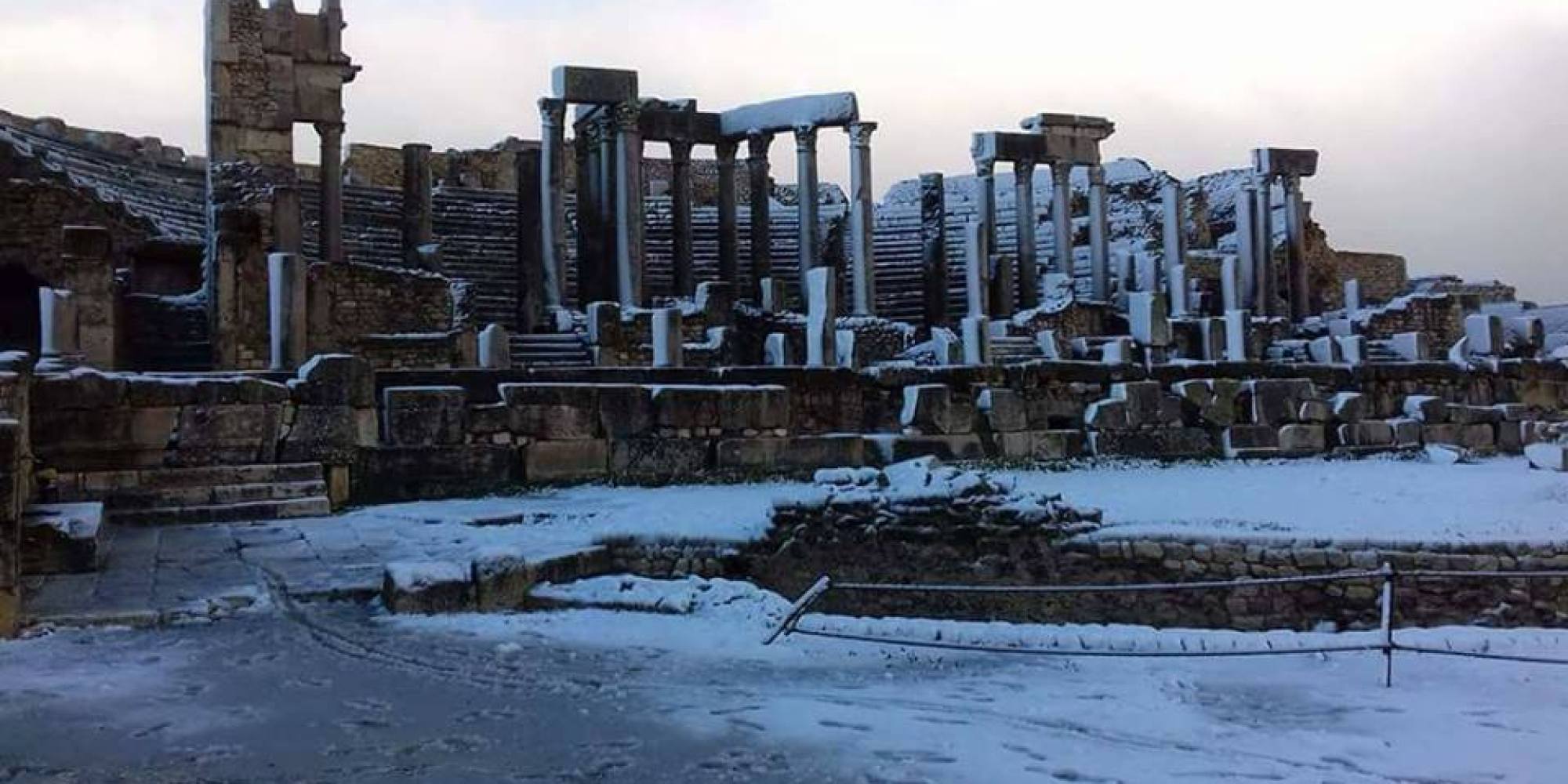 o-DOUGGA-facebook.jpg