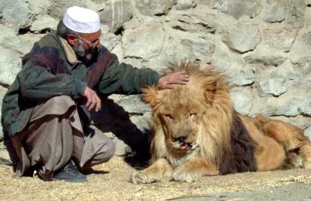 AF-Kabul-lion2.cut.jpg