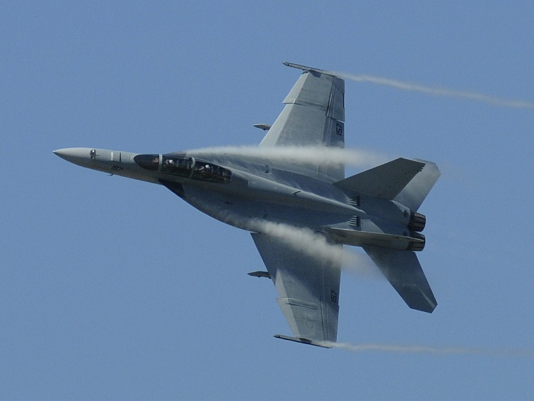 US_Navy_110730-N-ZK021-007_An_EA-18G_Growler_performs_an_aerial_maneuver_during_the_Centennial_of_Naval_Aviation_%28CONA%29_celebration_at_Naval_Air_St.jpg