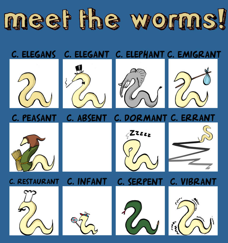 meet_the_worms_by_Velica.jpg