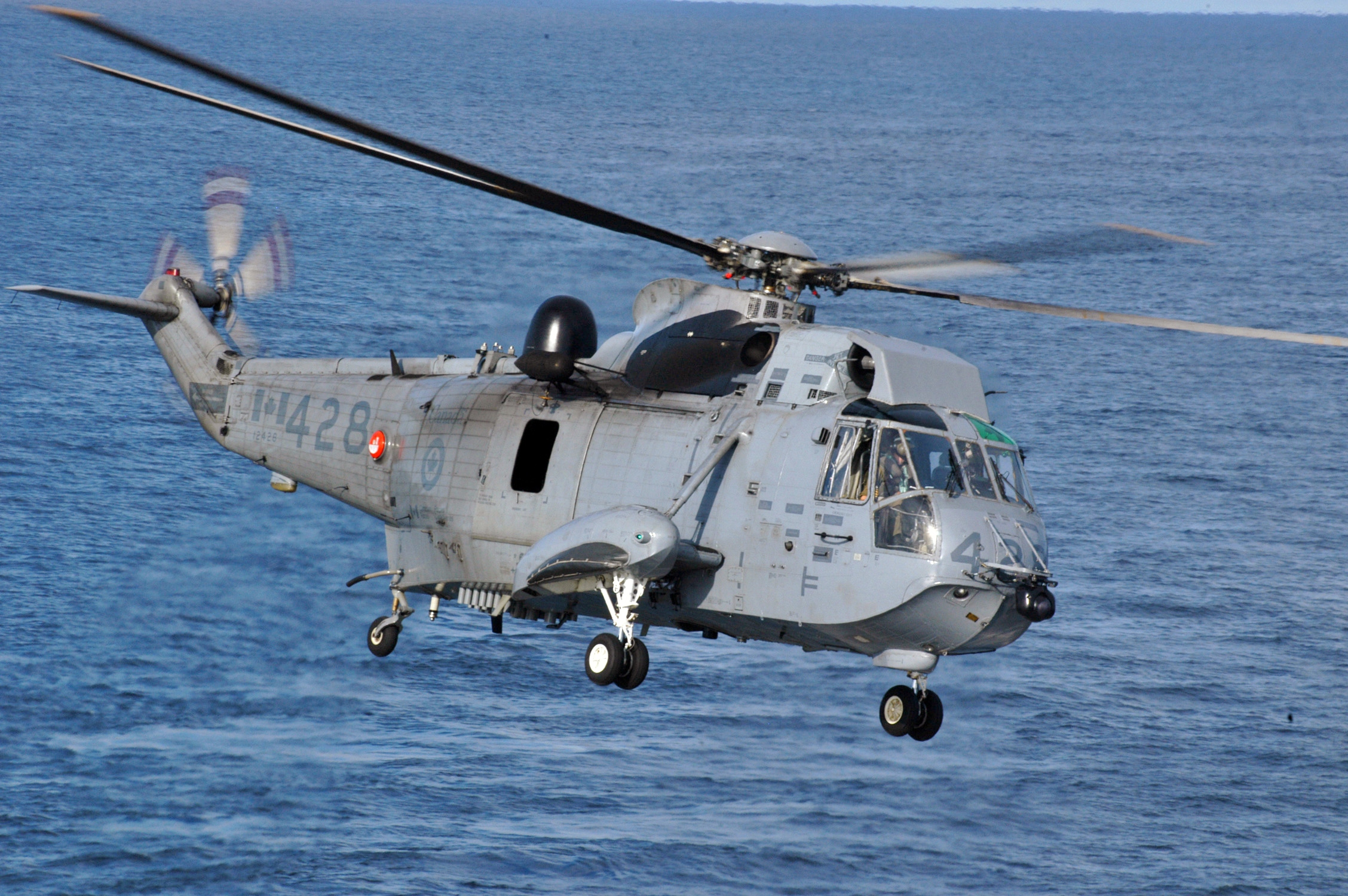 CH-124_Sea_King.jpg