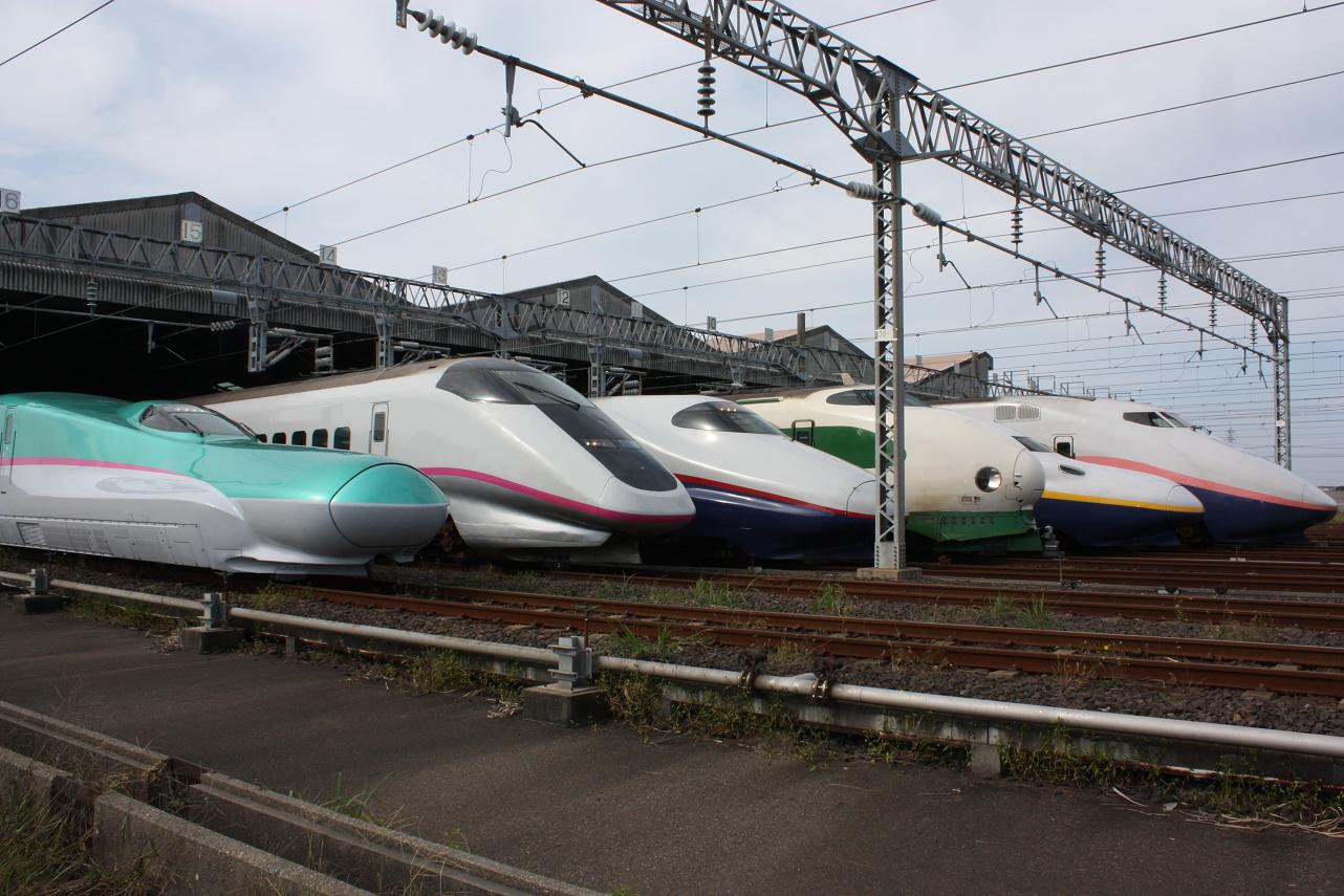 JR_East_Shinkansen_lineup_at_Niigata_Depot_200910.jpg