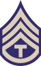 60px-US_Army_WWII_T3C.svg.png