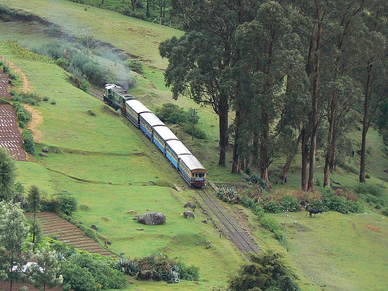 800px-The_Nilgiri_Mountain_Railway.jpg