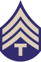 60px-US_Army_WWII_T4C.svg.png