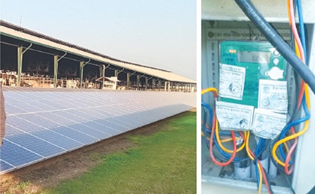 SOLAR panels are seen at the Interloop Dairy Farm in Sheikhupura; and (right) a net meter installed at the facility.—Dawn