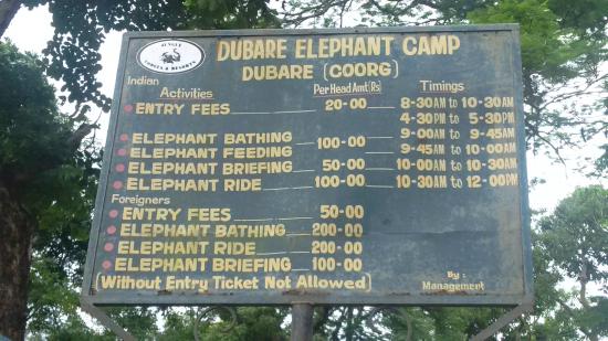 dubare-elephant-camp.jpg