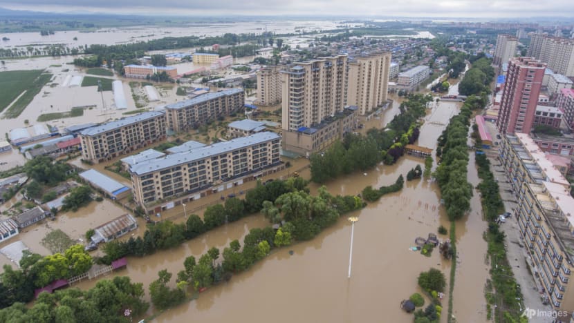 China must act to prevent epidemics in flood-hit Heilongjiang: Vice premier Liu  